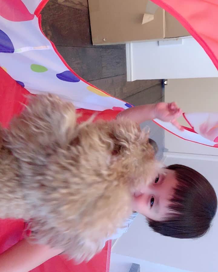 アレクサンダーのインスタグラム