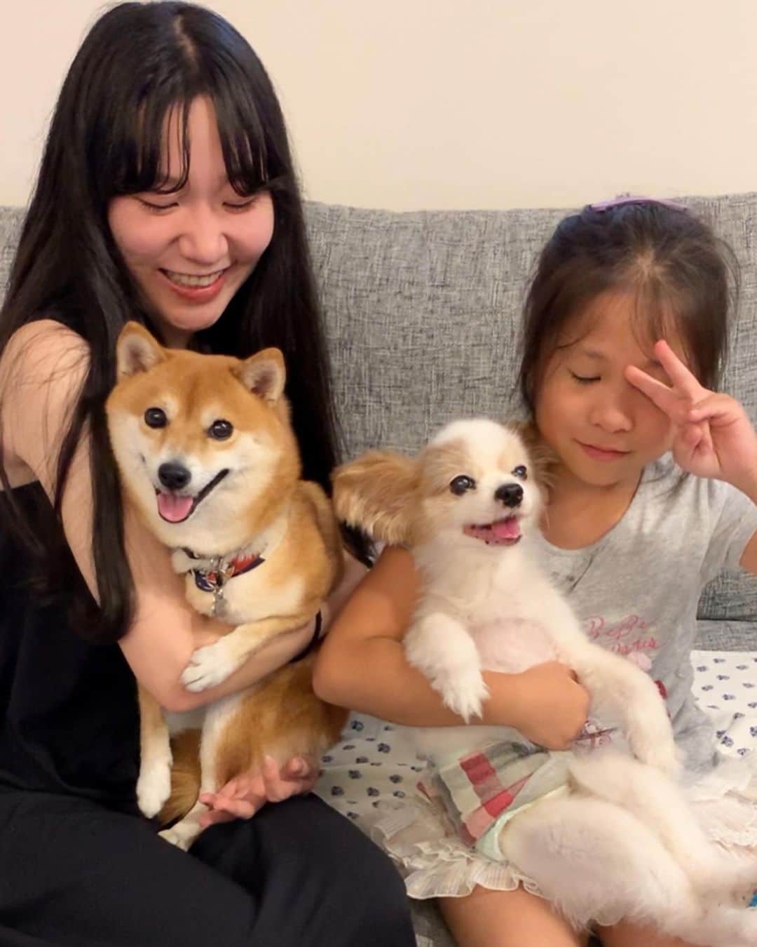 のインスタグラム：「. . HELLO〜こんにちわん🐻💓🐶 . 今日は、パピヨンのコルトくん🐶の お家に遊びに行ってきたよ〜🎶 . コルトくん 16歳のおじいちゃんなんだけど そんな風には全然見えなくって ぬいぐるみみたいで 小ちゃくてとっても可愛い〜🐻💕 . さにたんは キレイなお姉さん達に抱っこしてもらったり おやつもらったり、楽しかったね❣️ . コルトくんママさん、パパさん、お姉ちゃん ありがとうございました〜🤗 また遊んでね🐻🐾 . . #サニーとコルトくん #パピヨン #おじいちゃん犬 #ぬいぐるみみたい💕 #とっても可愛かった💕 #またあそぼうね . #柴犬#豆柴 #赤柴 #まめしばいぬ#まめしば#いぬのきもち#ふわもこ部 #サンデイ#サンデイいぬ組#anicas#shiba_snap #shibainu #shiba#mameshiba #豆柴サニーちゃん」