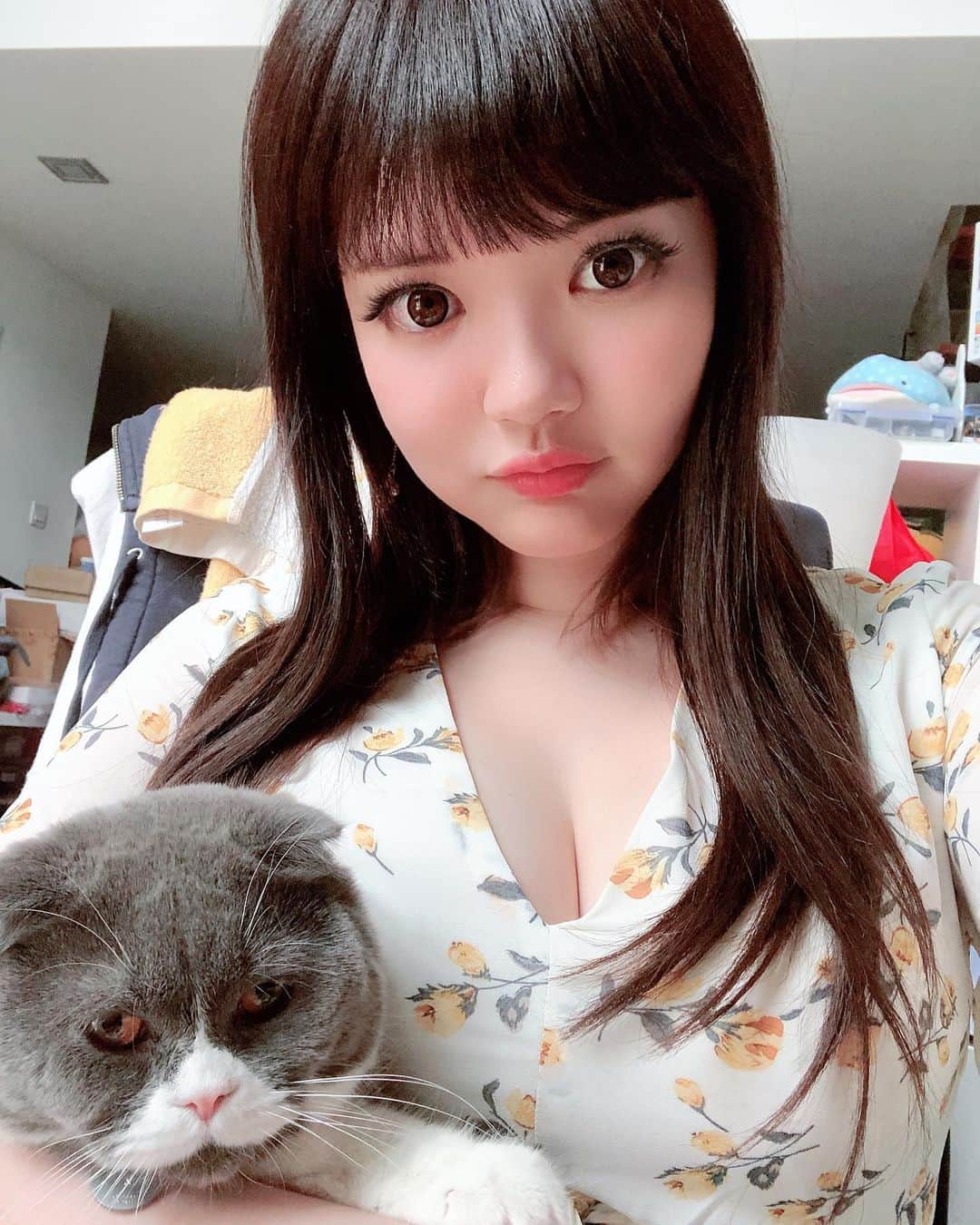 YingTzeさんのインスタグラム写真 - (YingTzeInstagram)「Hermes , EarlGrey & Venom ❤️ I’m a crazy cat lady with 8 cats ! 🐱 _ My Official Merchandise Store is now open ! For those interested in my photobook & calendar do check out these websites : International ▶️ https://yingtze.bigcartel.com/ Malaysia ▶️ https://forms.gle/pXTrcGU ( check out my IG Story Highlights for swipe up )  _ Pre-Order ends on 30th September 2019 . ❤️ My Patrons get 10% off my merchandise , code is available at my latest Patreon Post 😘✨ ▶️ www.patreon.com/yingtze #blessed #babyg2610 #girlwithlonghair」9月22日 18時30分 - yingtze