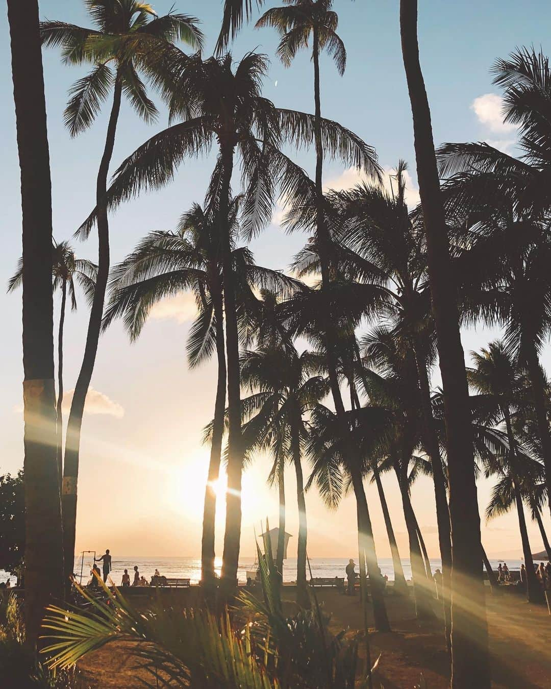 EMILY/BLUEさんのインスタグラム写真 - (EMILY/BLUEInstagram)「Hawaiiのサンセットは 最高だなーーーーーー♡ #waikiki #beach #hawaii #aloha #ハワイ #ヤシの木 #ワイキキ #夕日」9月22日 18時30分 - emilybluejewelry0220