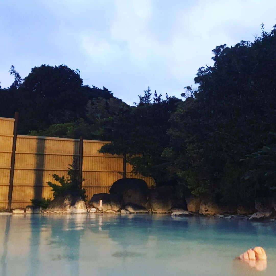 TOGGYのグルメインスタ