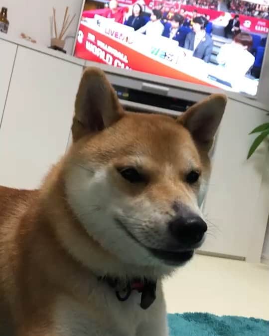 大山加奈のインスタグラム