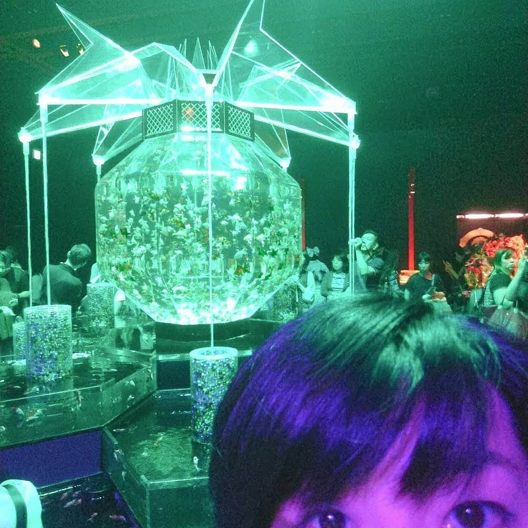 小島奈津子さんのインスタグラム写真 - (小島奈津子Instagram)「2019*9*22 #アートアクアリウム に行きたくて、 でも、なかなか行けなくて、、 仕事の合間にひとりでパッと行って来ました🏃‍♀️💨 一万匹の金魚たち、、全部、金魚鉢！ 色彩と音楽の融合も素晴らしい。 ． #日本橋三井ホール で開催されるのは今年で最後。明日9/23(月)まで。」9月22日 20時31分 - kojimanatsuko_official