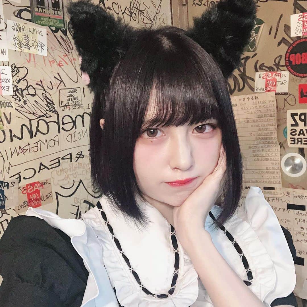 宮内凛さんのインスタグラム写真 - (宮内凛Instagram)「. . 猫耳🐱」9月22日 20時29分 - miyauchi_rin