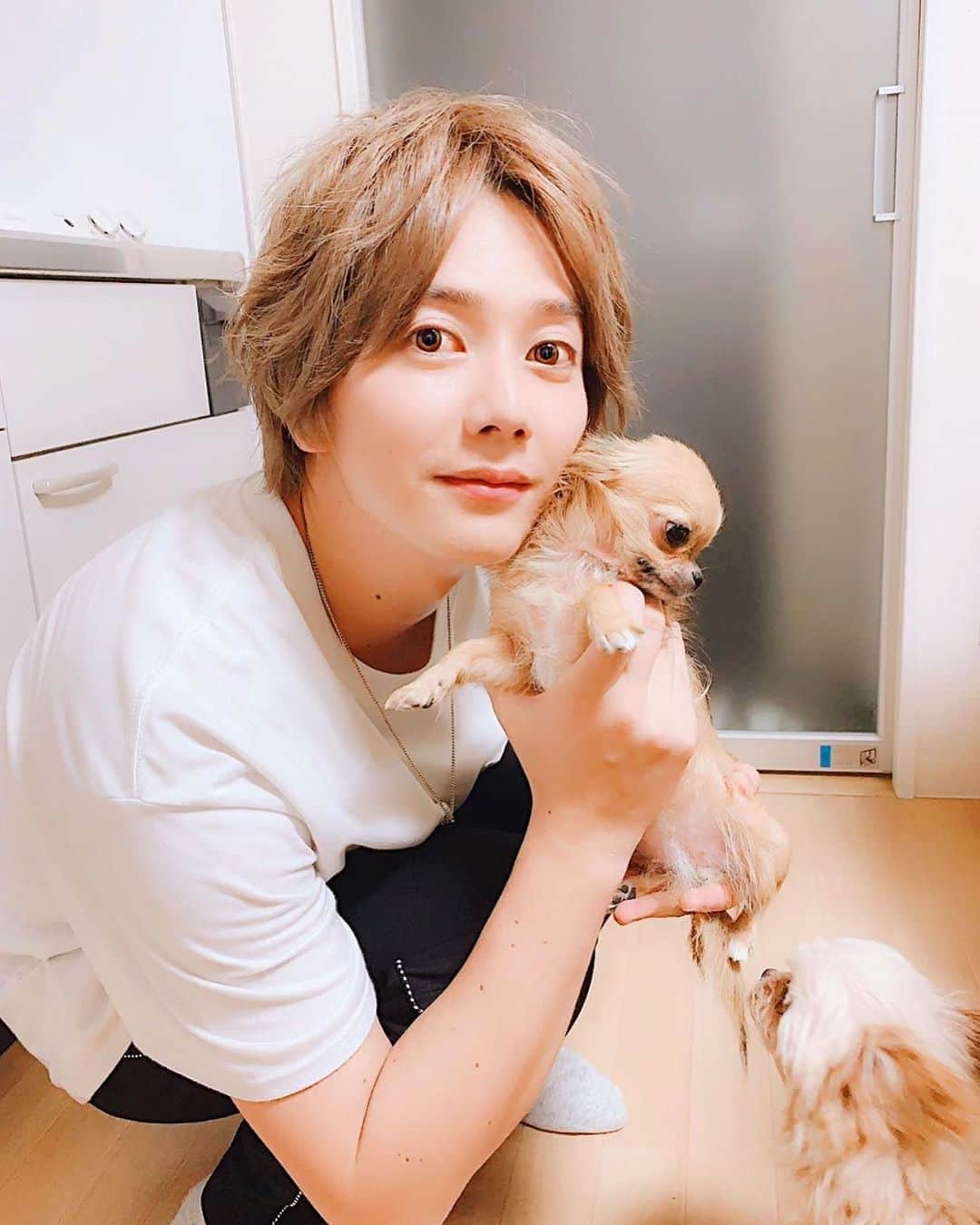 佐野恭平さんのインスタグラム写真 - (佐野恭平Instagram)「彼氏の家で犬デート❤️に使ってもいいよ！(古っ！笑) ・ ・ #MTRL #いぬぬ #fashion #instagood #photooftheday#like4like #style #hair #f4f #mensfashion #お洒落さんと繋がりたい #좋아요태러 #좋아요반사 #패션  #오오티디 #셀피  #머리스타그램 #写真好きな人と繋がりたい」9月22日 20時37分 - kyoheisano