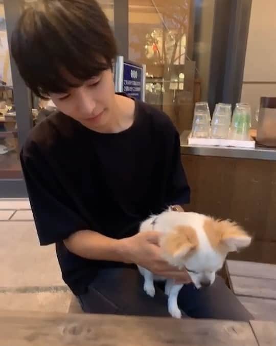 のインスタグラム：「わんわん🐶」