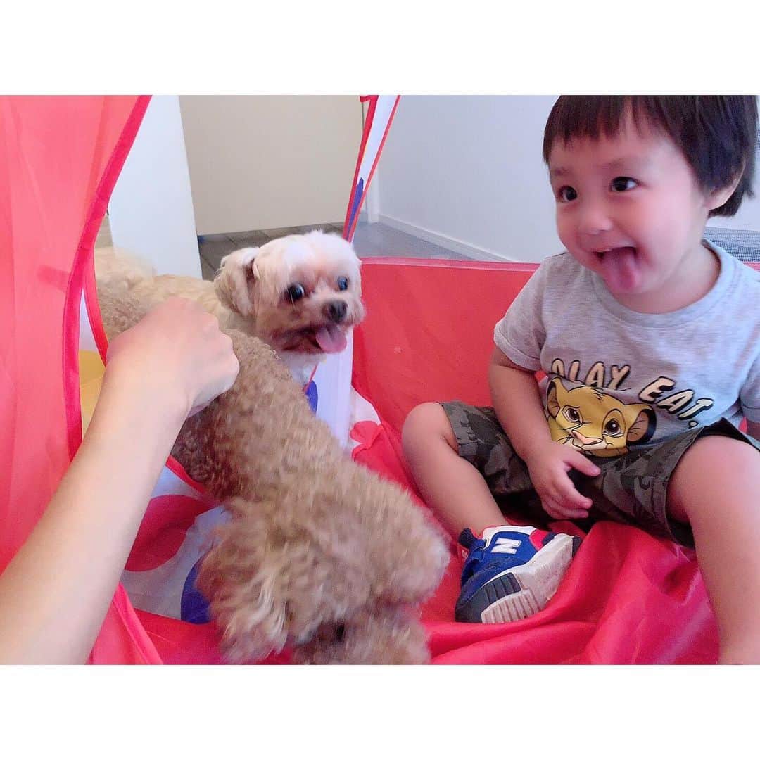 川崎希さんのインスタグラム写真 - (川崎希Instagram)「わんちゃんのマネっこ中〜👅💓💓💓 #dog #べー」9月22日 21時03分 - kawasakinozomi