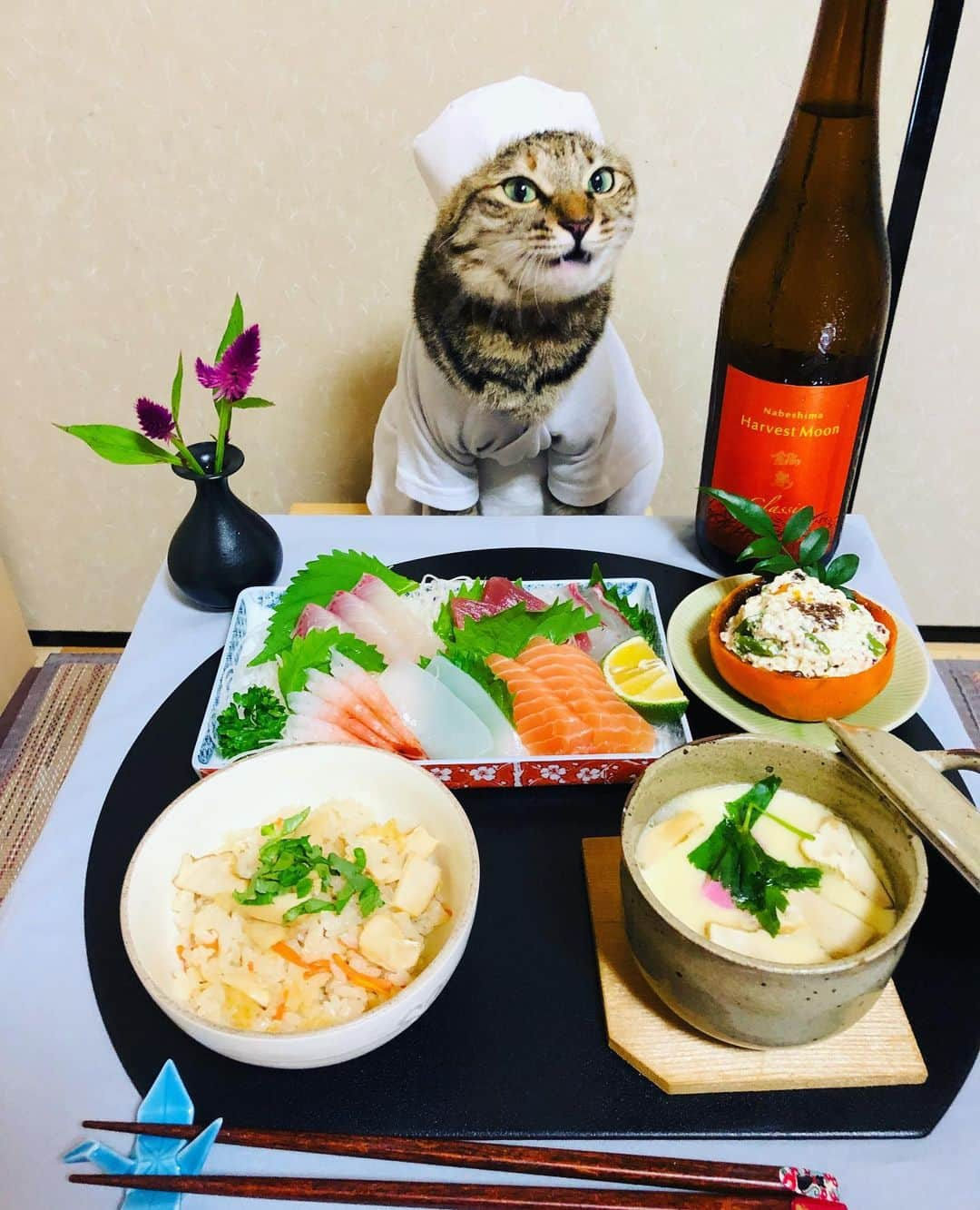 マロさんのインスタグラム写真 - (マロInstagram)「🥢Today's menu🥢 SWIPE▶️ ・松茸ご飯 (rice cooked with matsutake) ・松茸の茶碗蒸し (steamed egg custard with matsutake) ・柿の白和え (persimmon with Tofu and White sesame) ・刺身 (sashimi) ☆ いつもコメントありがとうございます😸🙏💕 返信出来なくてすみません🙇‍♀️ 全て拝見しています🐾 ☆ Thank you for your kind comments😸🙏💕 I'm sorry that I couldn't reply. ☆ #cat#cats#catsofinstagram#😻 #catsoftheworld#japanesefood  #food#chef#japaneculture#sake #にゃんすたぐらむ#ねこ#ネコ#猫 #ねこ部#ふわもこ部#みんねこ #秋の献立#料理#板さん#日本酒 #鍋島#鍋島harvestmoon#料理 #猫のいる暮らし」9月22日 21時12分 - rinne172