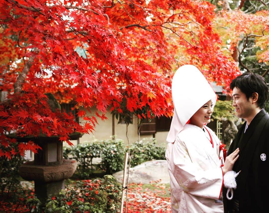 桜鶴苑のグルメインスタ