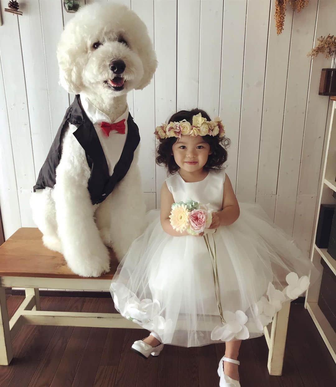 たまねぎさんのインスタグラム写真 たまねぎinstagram いつかこんな日が来るんだろうなぁ Standardpoodle Dog Lovedogs Poodlesofinstagram スタンダードプードル 大型犬と子供 Poodle Dogstagram いぬのいる生活 もふもふ部 わんこ部 子ども
