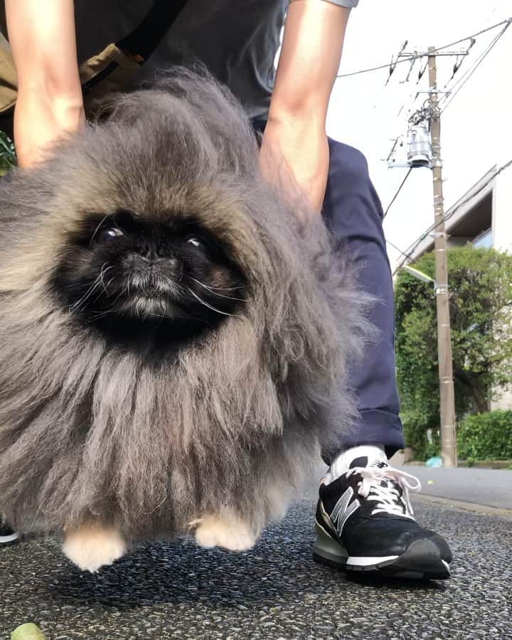 宮田和弥のインスタグラム