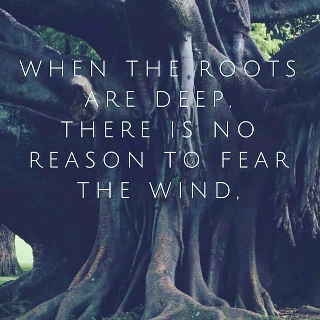 ジェニファー・エスポジートさんのインスタグラム写真 - (ジェニファー・エスポジートInstagram)「Strong in any storm because they bend with the wind and not try to push against it. It’s an enormous lesson for us all.  THIS is The reason I hug trees. I really do.  Been known the stop the car and go hug an extra beautiful one. Okay carry on. #happysunday」9月23日 2時11分 - jesposito