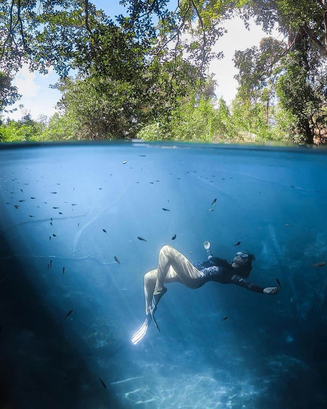 goproさんのインスタグラム写真 - (goproInstagram)「Photo of the Day: Locals lounge. 📷@frecinha • Shot on #GoProHERO7 Black • • • @GoProBR #GoProBR #GoProTravel #GoPro #OverUnder #UnderwaterPhotography #AdventureOften」9月23日 2時52分 - gopro