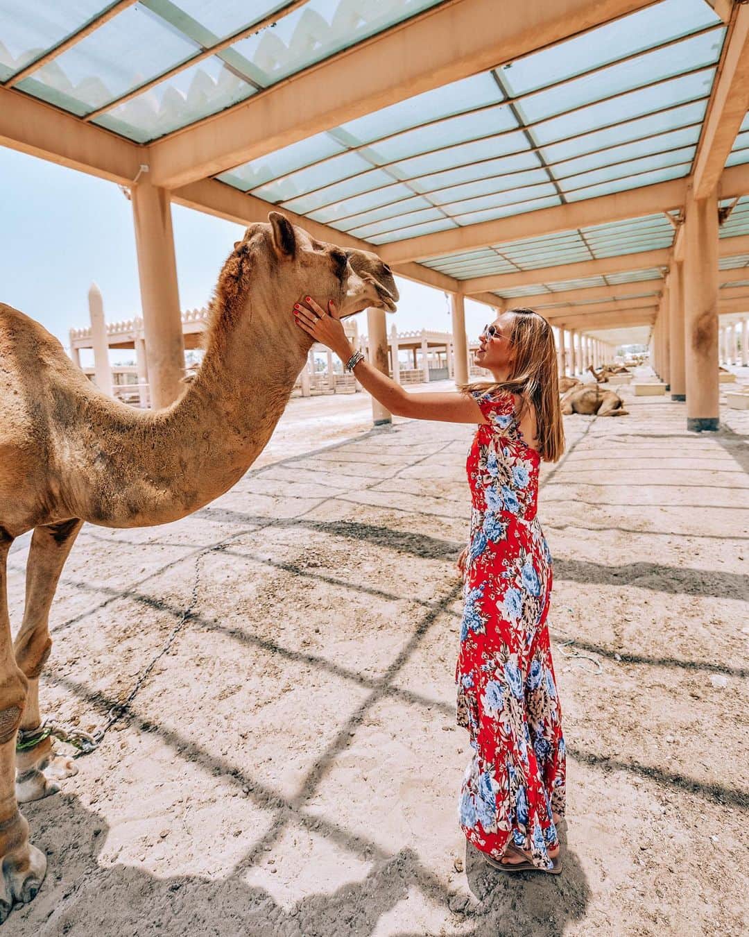 Izkizさんのインスタグラム写真 - (IzkizInstagram)「Snapshots from amazing days spent exploring Bahrain with @tourismbahrain 🇧🇭 . 1: Colourful lanterns at Manama Souq where we dipped in and out of cute little shops that looked like something right out of Aladdins cave. 🔮 . 2: Exploring Bahrain Fort, built by the Portuguese in the 16th century, it is part of the Unesco World Heritage site believed to have been the capital of the ancient Dilmun Empire. 🏰 . 3: Relaxing by the infinity pool at @ritzcarltonbahrain 🏊🏻‍♀️ . 4: The Royal Camel Farm. Despite being called a farm, the camels are not bred for eating or production. The farm was created by the King of Bahrain, Sheik Mohammad, as a means of preserving camels in Bahrain. 🐪 . 5: Leisurely breakfast by the pool 🥐 . 6: Built in 1987 by the late Sheikh Isa ibn Salman Al Khalifa the Al Fateh Grand Mosque is the largest mosque in Bahrain &one of the largest in the world. It can hold up to 7000 worshippers at a time 🕌 . 7: The tree of life that has survived for hundreds of years with no obvious source of water. 🌳 . 8: Galloped down to the beach on a beautiful Arab horse called Pedro. 🐴」9月23日 3時14分 - izkiz