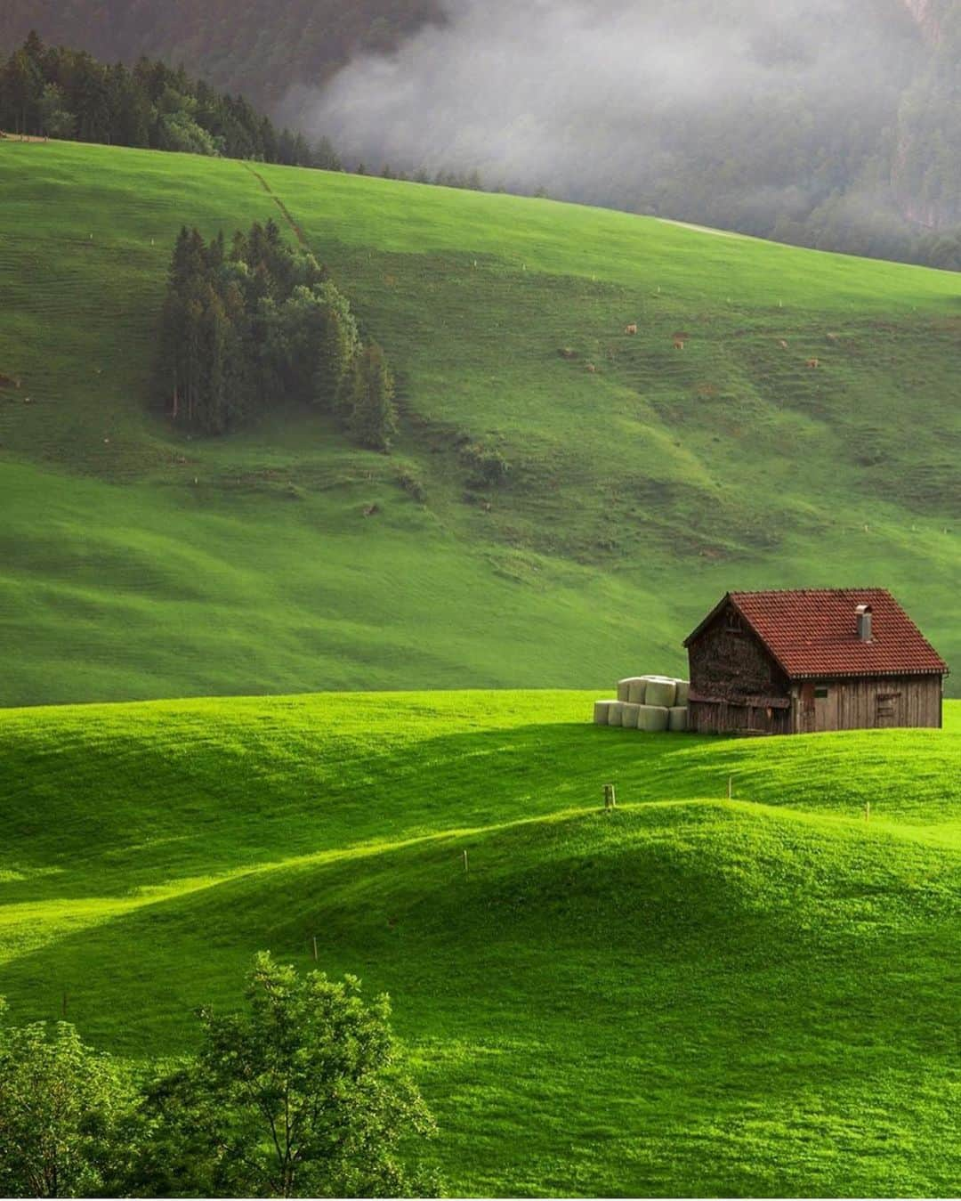 Wonderful Placesさんのインスタグラム写真 - (Wonderful PlacesInstagram)「The lushly Appenzell - Switzerland ✨💚💚💚✨ . Picture by ✨✨@sennarelax✨✨ #wonderful_places for a feature 💚」9月23日 6時25分 - wonderful_places