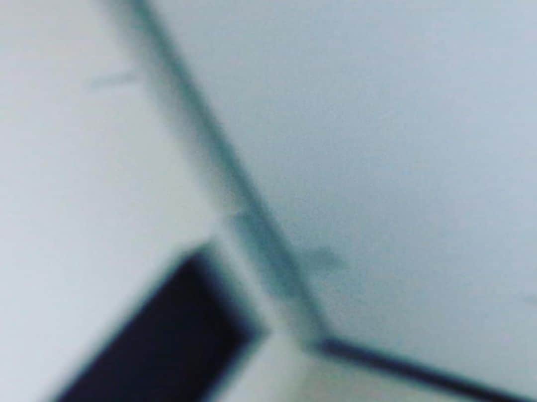のインスタグラム：「Morning in Hakone」