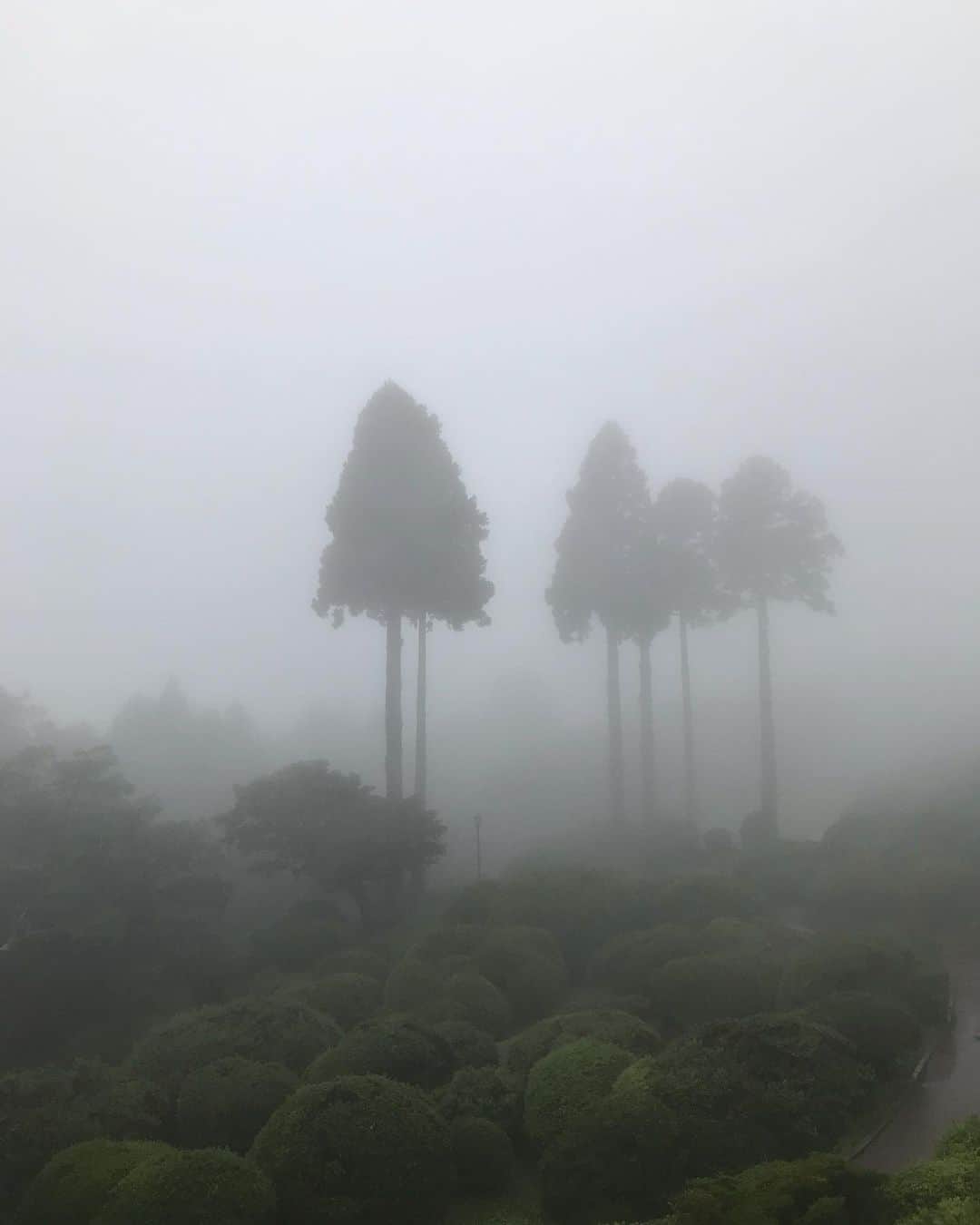 のインスタグラム：「Hakone」