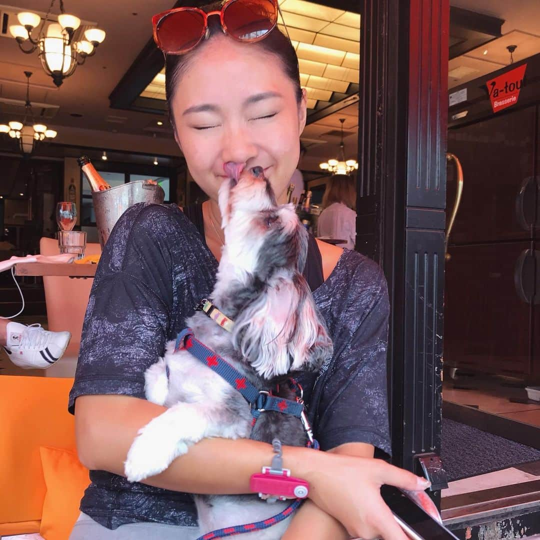 角田聖奈さんのインスタグラム写真 - (角田聖奈Instagram)「LOVE YOU BABY🐶😘❤️ #ランチ #犬OK #犬okのお店 #テラス #ジムの近く #六本木 #犬なしでは生きていけません会 #いぬすたぐらむ #マルダックス #オレンジジム」9月23日 8時07分 - seina1105