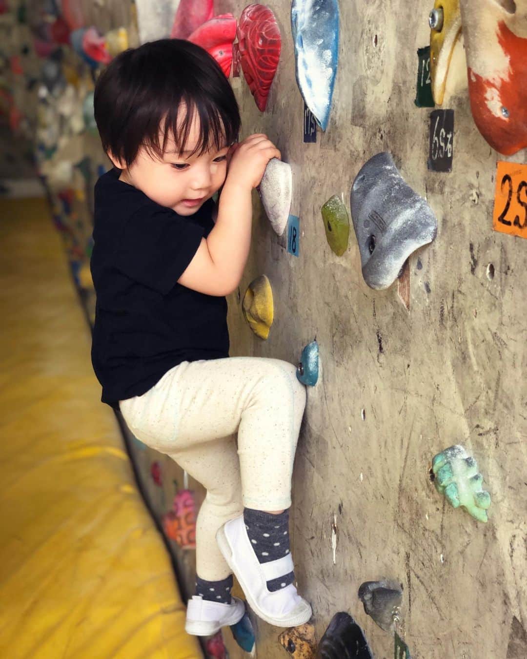 石塚錬さんのインスタグラム写真 - (石塚錬Instagram)「. 👦💬「壁は高いほど燃えるゼ😤🧗‍♂️‼️」 #2年ぶりのボルダリング(なんと1歳のときの投稿で登ってました😲) #かなりハマったようです(ボルダリング行きたい！と言い続けてます笑)💞💞💞 . 👦💬「The higher the wall, the better😤🧗‍♂️‼️」 #Bouldering for the first time in 2 years (There was a post Ren climbed when he was 1 year old😲) #Ren seems to have had a lot of fun💞💞💞 . #クライミング #ボルダリング #climbing #Bouldering #볼더링 #抱石 #高い壁 #石塚錬 #成長日記 #ishizukaren #renishizuka #이시즈카렌」9月23日 19時00分 - ishizuka_ren