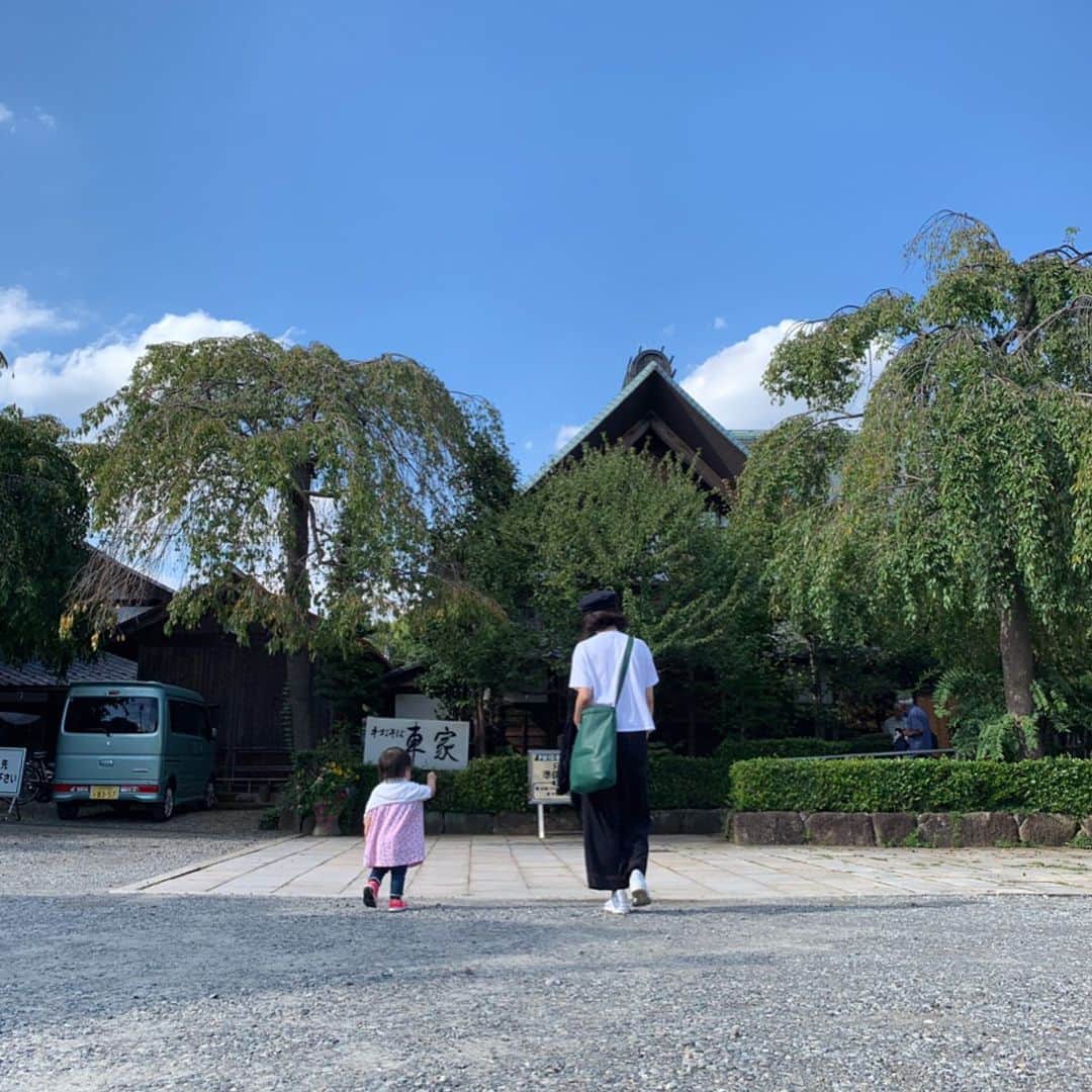 澤田泉美さんのインスタグラム写真 - (澤田泉美Instagram)「最近はさらにスタスタと歩くようになった娘さん👶  言葉の成長としては、朝起きるとベビーベッドから 「ママ〜ママ〜きて〜おはよ〜」 っと呼ばれます笑笑  どこで覚えるんだか笑  写真は、お蕎麦を食べに行った時のもの。 もうお腹いっぱいと言いながら甘いものも❤️ そばがきであんこを包み、 きな粉をまぶした伊吹だんご🍡🍵 練ったばかりのそばがきが温かくて美味しかったなぁ❤️🍂 #蕎麦#そばがき #お出かけ#気分転換」9月23日 17時42分 - izumi.sawada