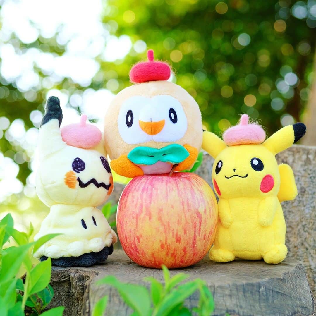 ピカチュウ公式Instagramさんのインスタグラム写真 - (ピカチュウ公式InstagramInstagram)「【今日のピカチュウ】 ピカチュウたちはりんごを見つけたみたい🍎✨ なんだかみんなの帽子に似ているね👒 #pikachu #rowlet #mimikyu #pokemon #pikachu_snap #photooftheday #apple #fruit #friendly #hat #sunny #autumn #fall #ピカチュウ #モクロー #ミミッキュ #ポケモン #りんご #仲良し #帽子 #秋」9月23日 18時00分 - pokemon_jpn