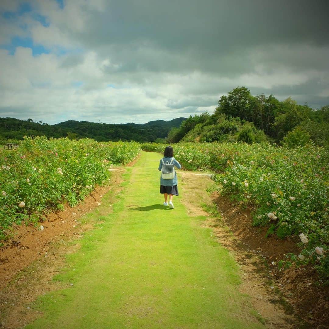 川本睦子さんのインスタグラム写真 - (川本睦子Instagram)「高原に、ダリアを見に行ったよ。気持ちよかったー #世羅高原農場 #娘孝行」9月23日 18時06分 - muzco
