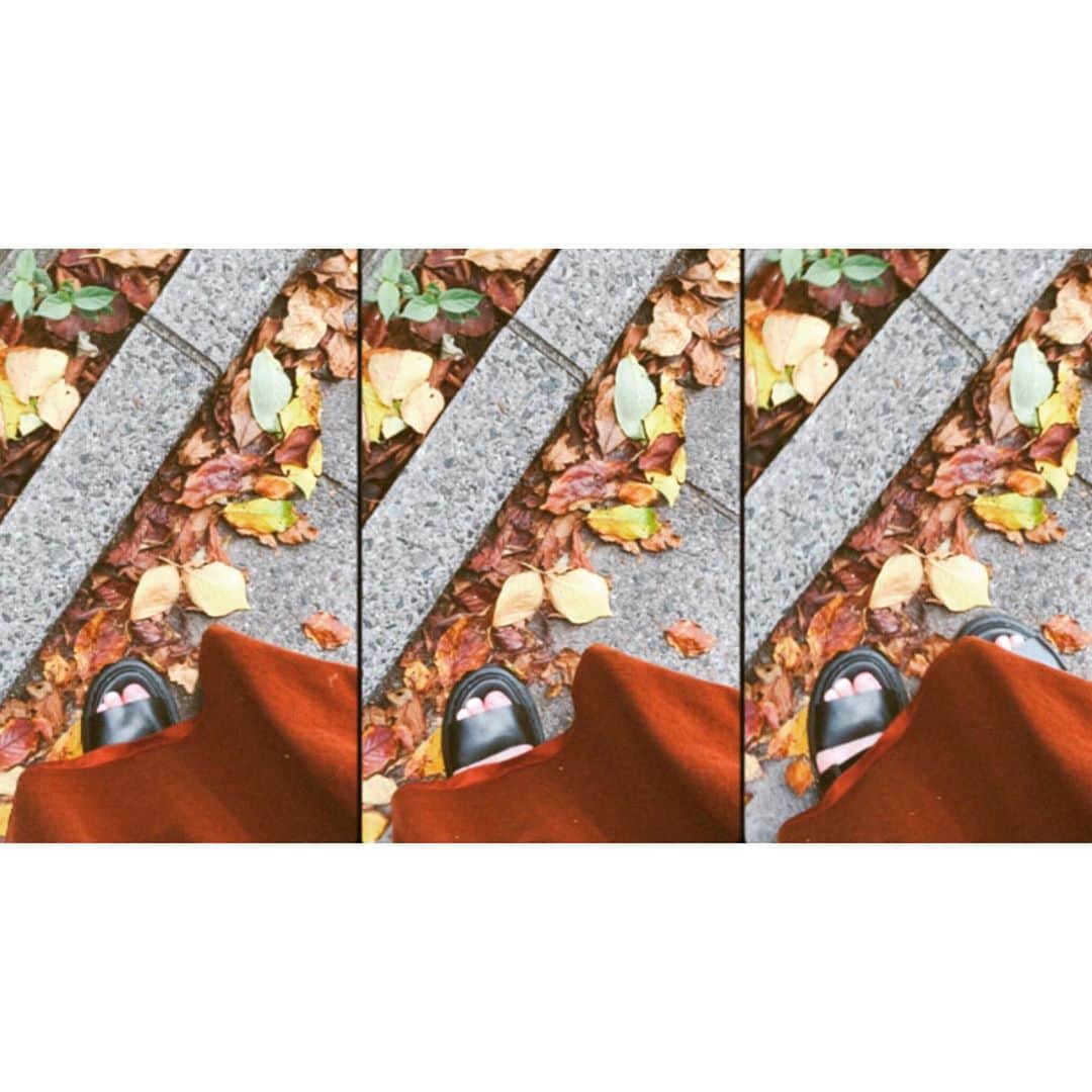 川栄李奈さんのインスタグラム写真 - (川栄李奈Instagram)「秋ですね🍁 過ごしやすい☺︎ なにより秋服が可愛くて ご飯が美味しい🍚 たくさん食べよ〜う🍠🌰」9月23日 18時37分 - rina_kawaei.official