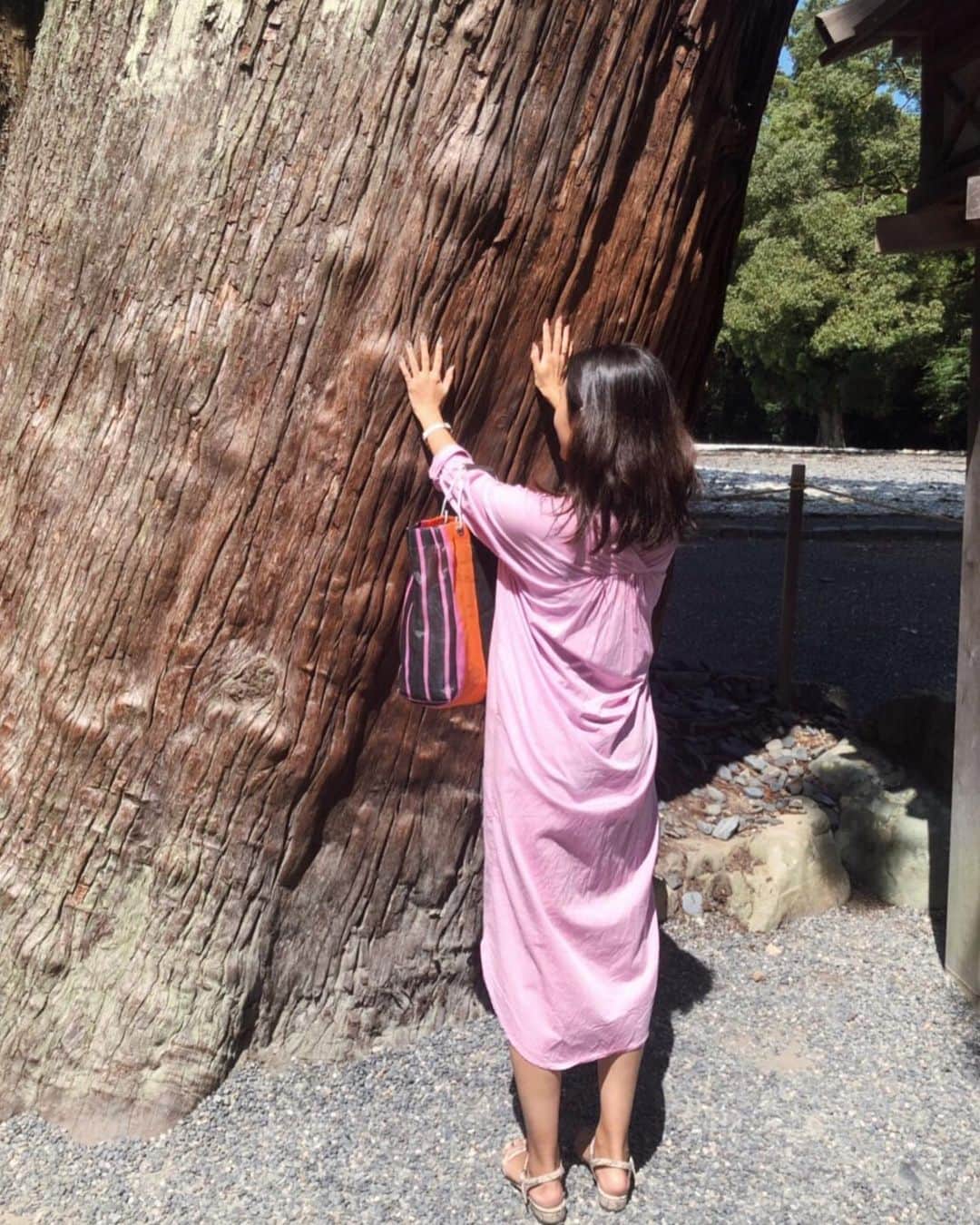 倉園由菜さんのインスタグラム写真 - (倉園由菜Instagram)「.﻿ ﻿ ﻿ ﻿ 大木とゆな。﻿ ﻿ ﻿ ﻿ ﻿ ﻿ ﻿ 大きいなぁと見上げた景色。 ﻿ ﻿ #パワースポット #大木 #エネルギーがすごい」9月23日 18時47分 - yuna_kurazono