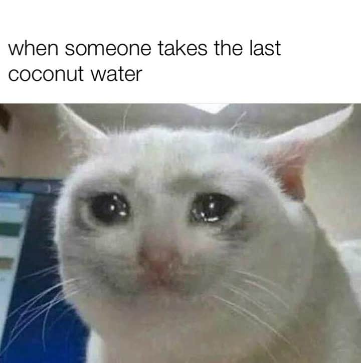 Vita Coco Coconut Waterのインスタグラム：「How could you?」