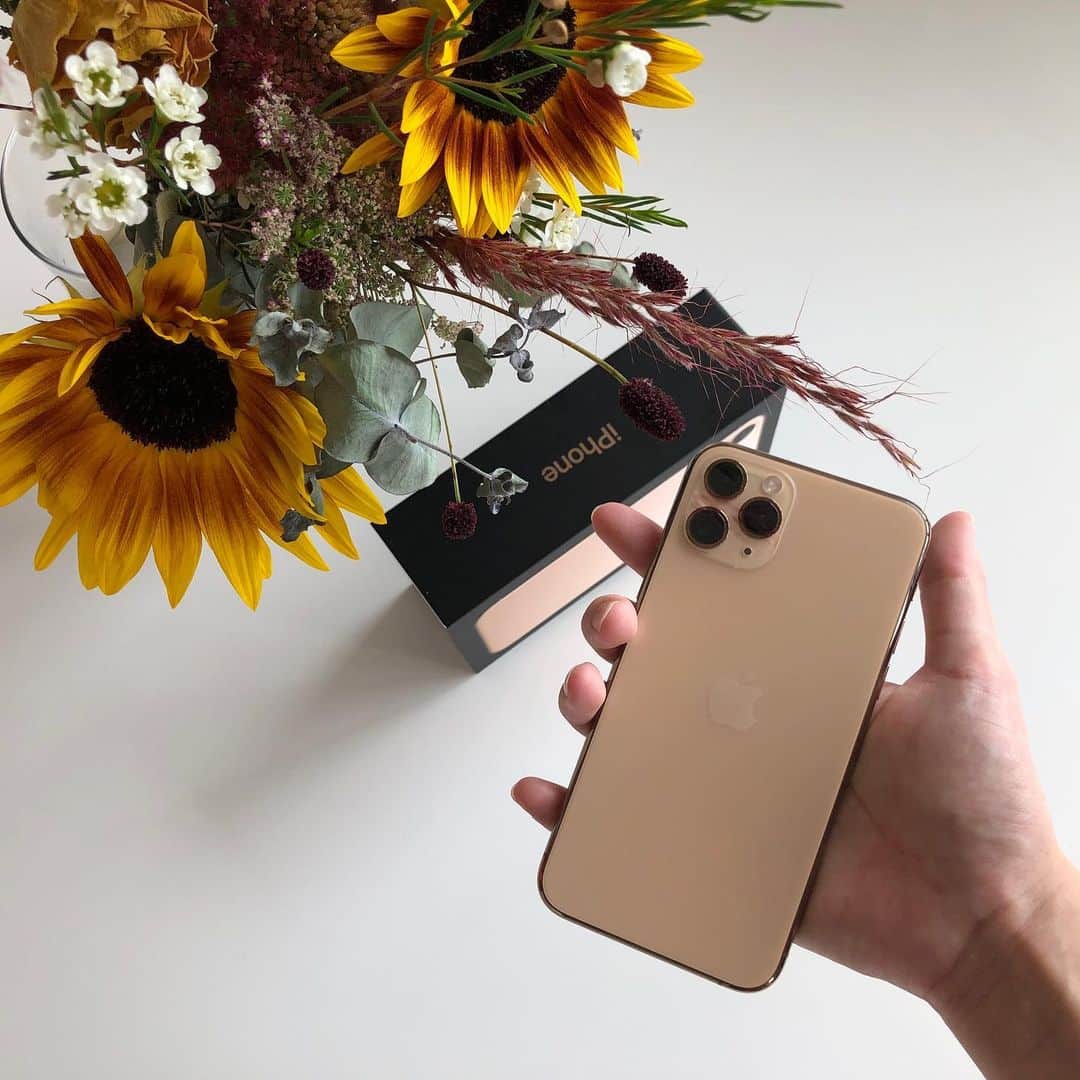 姫野れみのインスタグラム：「#iPhone11pro 🦕🌻 超広角/広角/望遠のワクワクするカメラ機能 すでに5万枚近い写真がさらに増えそう🥺 ヒマワリは誕生日に先輩から頂いたもの♡」