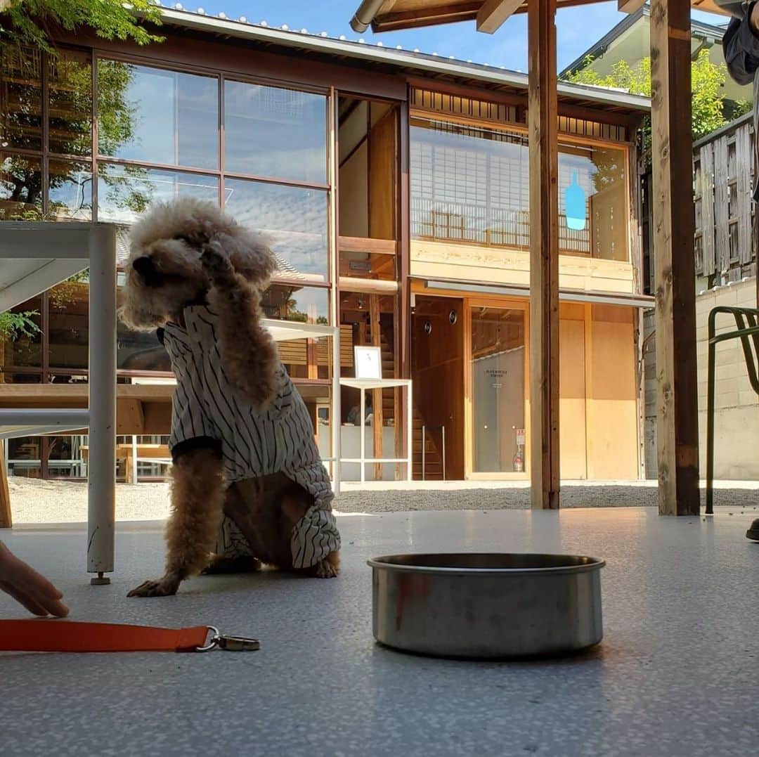 Blue Bottle Coffee Japanのグルメインスタ