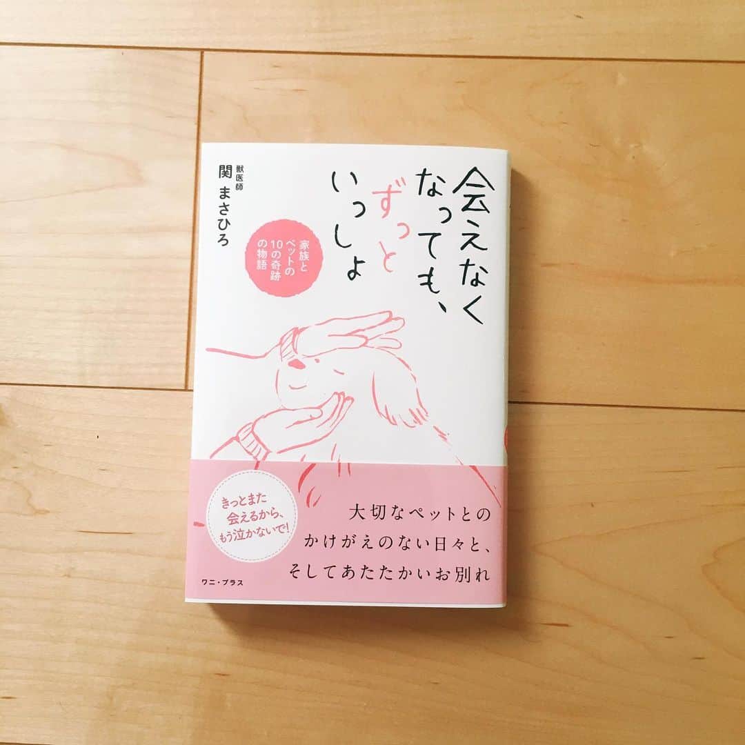 のインスタグラム：「「会えなくなっても、ずっといっしょ」の表紙と挿絵数点描きました。獣医さんが綴る、家族とペットの暖かいエピソードが詰まっています。【ワニプラス】」
