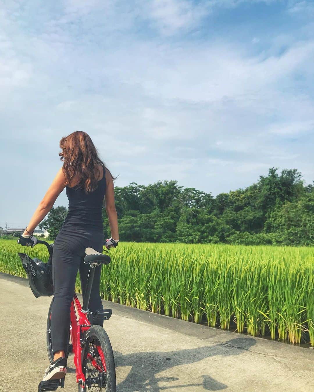 飯端美樹のインスタグラム：「秋分の日🍂 この時期ならではなこの景色が好き🌾🌾 #ricefield」