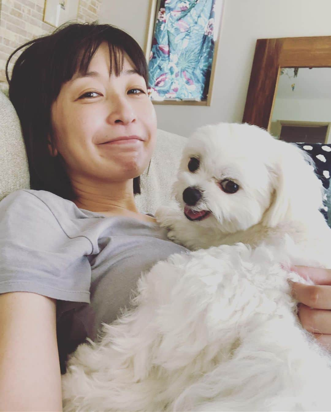 小野真弓さんのインスタグラム写真 - (小野真弓Instagram)「風の音がこわいハルくん🐶 先日の台風15号のおかげで、若干私も敏感になっております🌵かーさんの心を読んで慰めてくれてるのか、 ただいつもの弱虫ハルくんなのか😂 俺がいるぜ😎って顔に見えなくもない。 #チワマル#ハルくん #いぬばか部 #いぬすたぐらむ #chihuahua #maltese #mixdog #dogstagram #doglover #typhoon」9月23日 12時47分 - hanaharuaroi