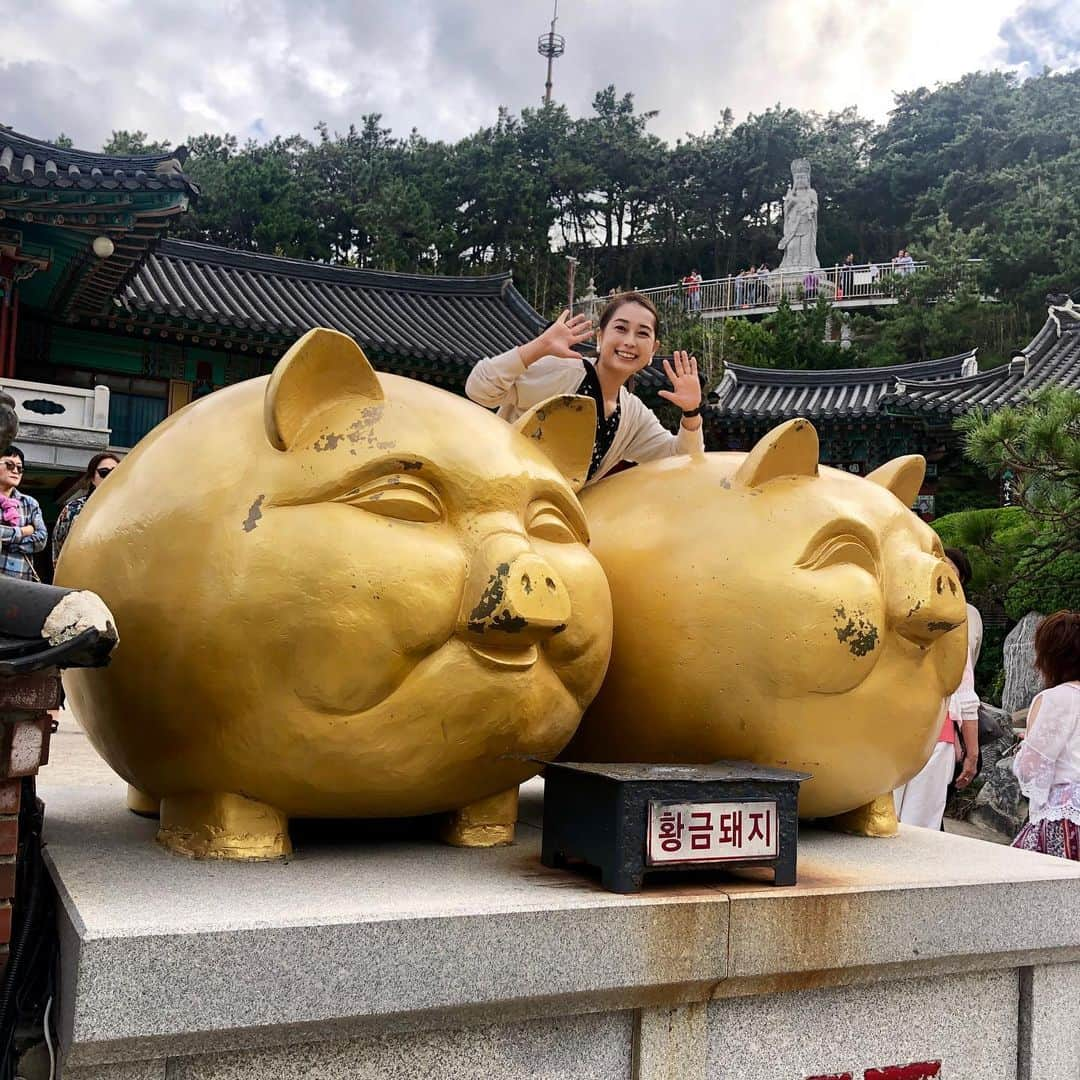 美甘子さんのインスタグラム写真 - (美甘子Instagram)「釜山に寄港し、海東龍宮寺へ行ってきました。一つだけ願い事を叶えてくれるというお寺です。バスのガイドさんによると、韓国のお寺は宗教的なものではなく、どちらかというと観光地ですとのことでした。十二支の干支の像があり、戌年なので犬の隣で撮影しました。海が見えて綺麗なお寺でした。 #海東龍宮寺 #釜山 #ダイヤモンドプリンセス #ダイヤモンドプリンセスクルーズ」9月23日 13時02分 - rekish_mikako