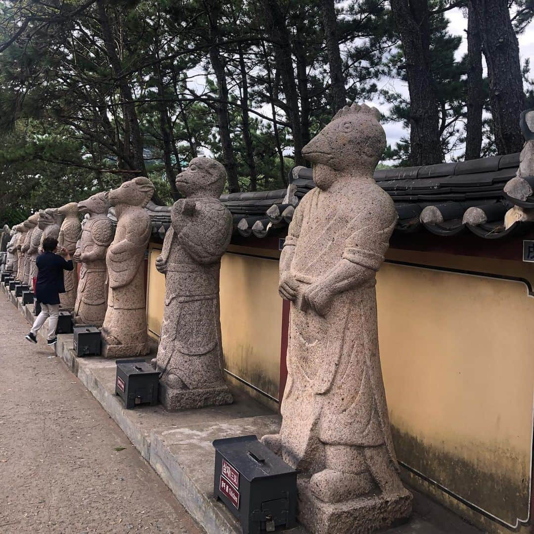 美甘子さんのインスタグラム写真 - (美甘子Instagram)「釜山に寄港し、海東龍宮寺へ行ってきました。一つだけ願い事を叶えてくれるというお寺です。バスのガイドさんによると、韓国のお寺は宗教的なものではなく、どちらかというと観光地ですとのことでした。十二支の干支の像があり、戌年なので犬の隣で撮影しました。海が見えて綺麗なお寺でした。 #海東龍宮寺 #釜山 #ダイヤモンドプリンセス #ダイヤモンドプリンセスクルーズ」9月23日 13時02分 - rekish_mikako