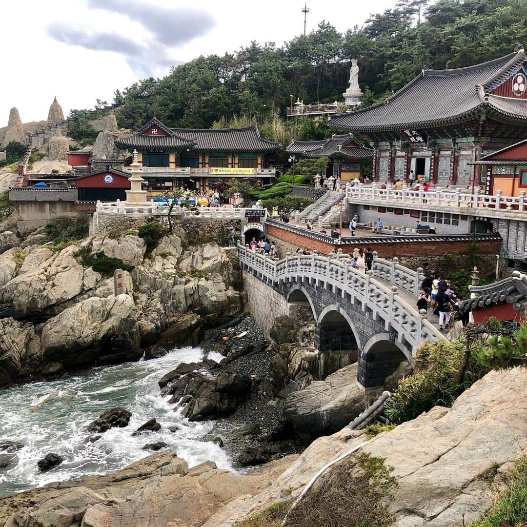 美甘子さんのインスタグラム写真 - (美甘子Instagram)「釜山に寄港し、海東龍宮寺へ行ってきました。一つだけ願い事を叶えてくれるというお寺です。バスのガイドさんによると、韓国のお寺は宗教的なものではなく、どちらかというと観光地ですとのことでした。十二支の干支の像があり、戌年なので犬の隣で撮影しました。海が見えて綺麗なお寺でした。 #海東龍宮寺 #釜山 #ダイヤモンドプリンセス #ダイヤモンドプリンセスクルーズ」9月23日 13時02分 - rekish_mikako