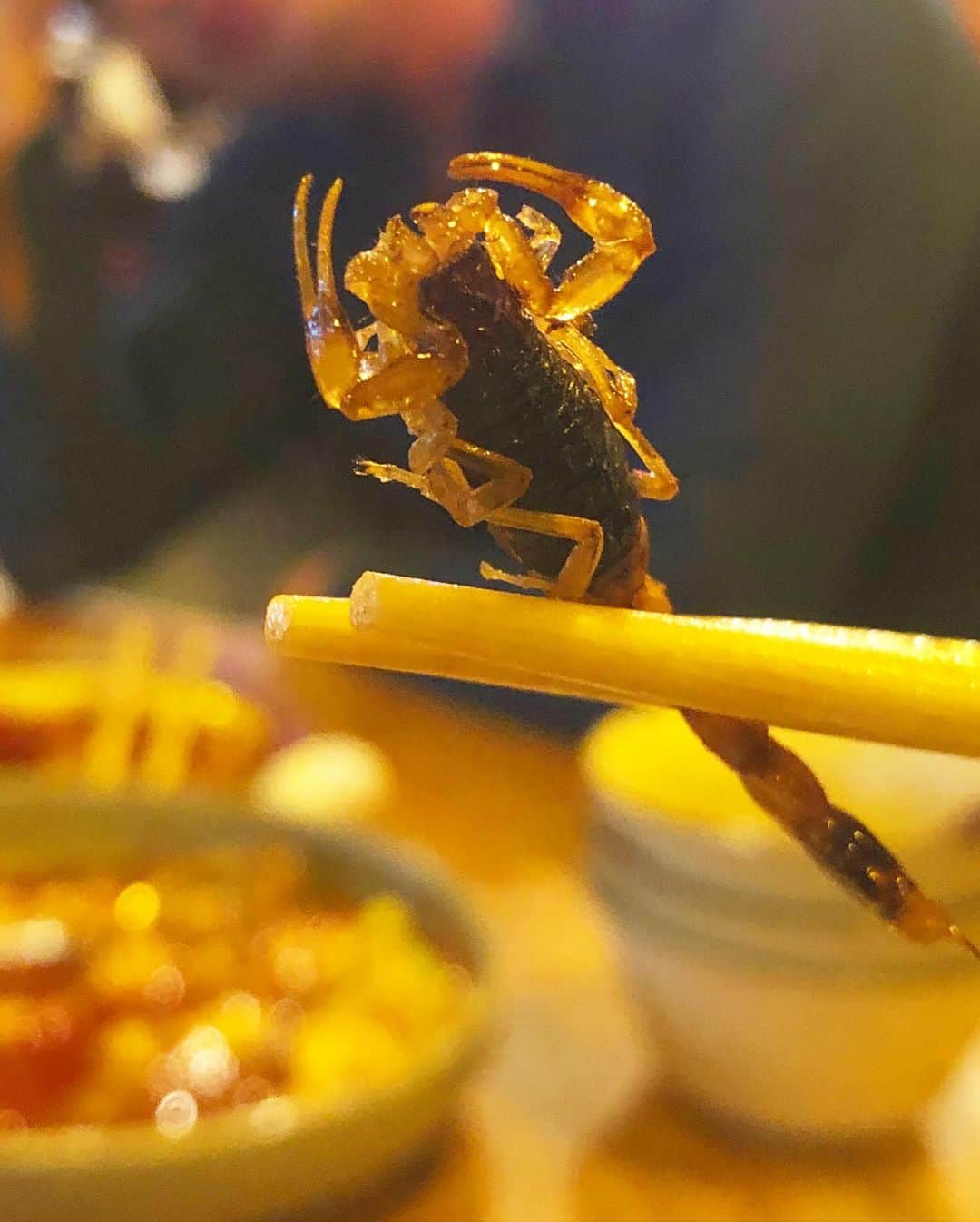 ダニエル太郎さんのインスタグラム写真 - (ダニエル太郎Instagram)「Take me into your stinging arms🎼 🦂 #pureprotein #friedscorpion サソリの揚げ物。タンパク質の固まり　@rikatatsuno @itsmasaki」9月23日 13時15分 - tarodaniel