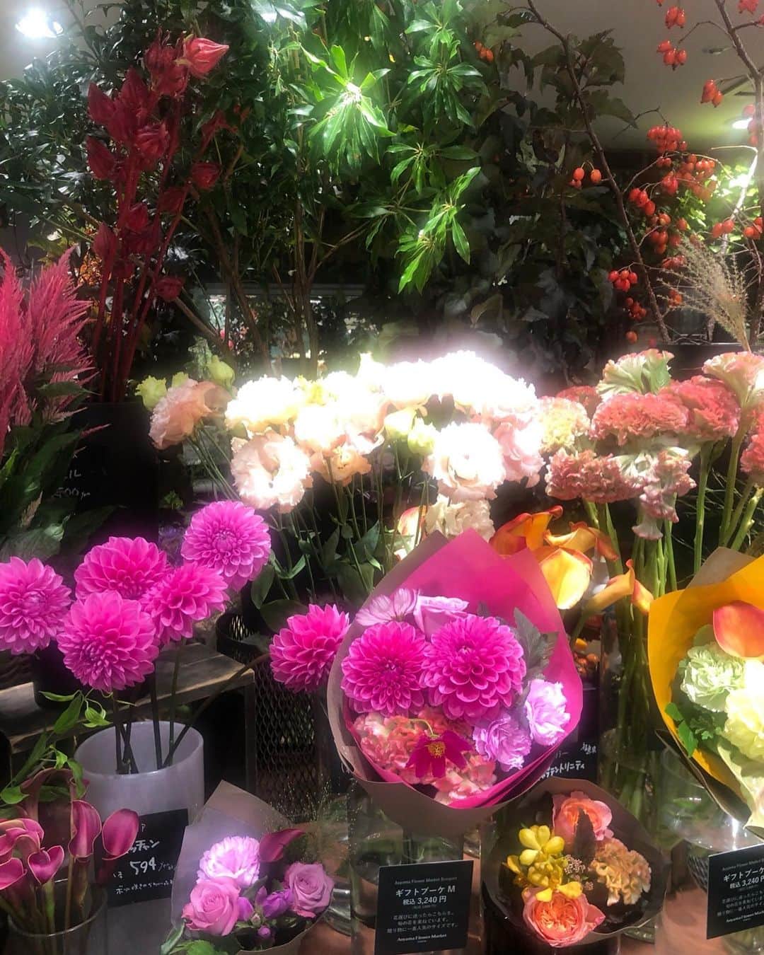 市川海老蔵 （11代目）さんのインスタグラム写真 - (市川海老蔵 （11代目）Instagram)「* Flowers for Mom ママにお花💐  #市川海老蔵 #海老蔵 #成田屋 #歌舞伎  #ABKAI #ABMORI #ebizoichikawa #ebizo #kabuki #thunderparty #classic」9月23日 13時11分 - ebizoichikawa.ebizoichikawa