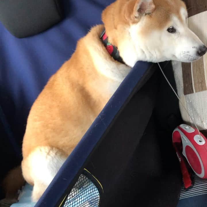 のインスタグラム：「ぶちゃいくになったねー😆」