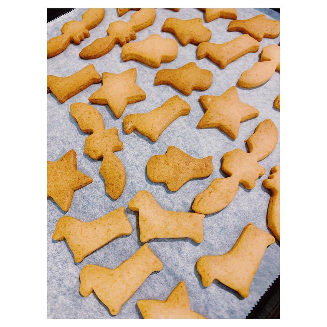 桜井裕美さんのインスタグラム写真 - (桜井裕美Instagram)「昔からお菓子作りが好き💜特にクッキーが食べるのも作るのも好き😬意外な趣味🤭子供を産んでからはそんな余裕もなかったですが、粘土遊び感覚で一度息子と作ってみたら、息子もハマり、何かと"クッキー作るー"と言うので最近は週3でクッキー作り！！流石に飽きてきたなー💦私は次ブルーベリーとクリームチーズのスコーンを作りたい❣️ #クッキー作り  #mama #mamamodel #息子 #子育て #ママモデル #育児中のママ #子供のいる生活#kids #キッズ #子供 #ママライフ #ママモデル #ママ起業 #男の子ママ #2歳児 #ままコーデ  #まま #男の子育児」9月23日 14時00分 - yumisakurai24