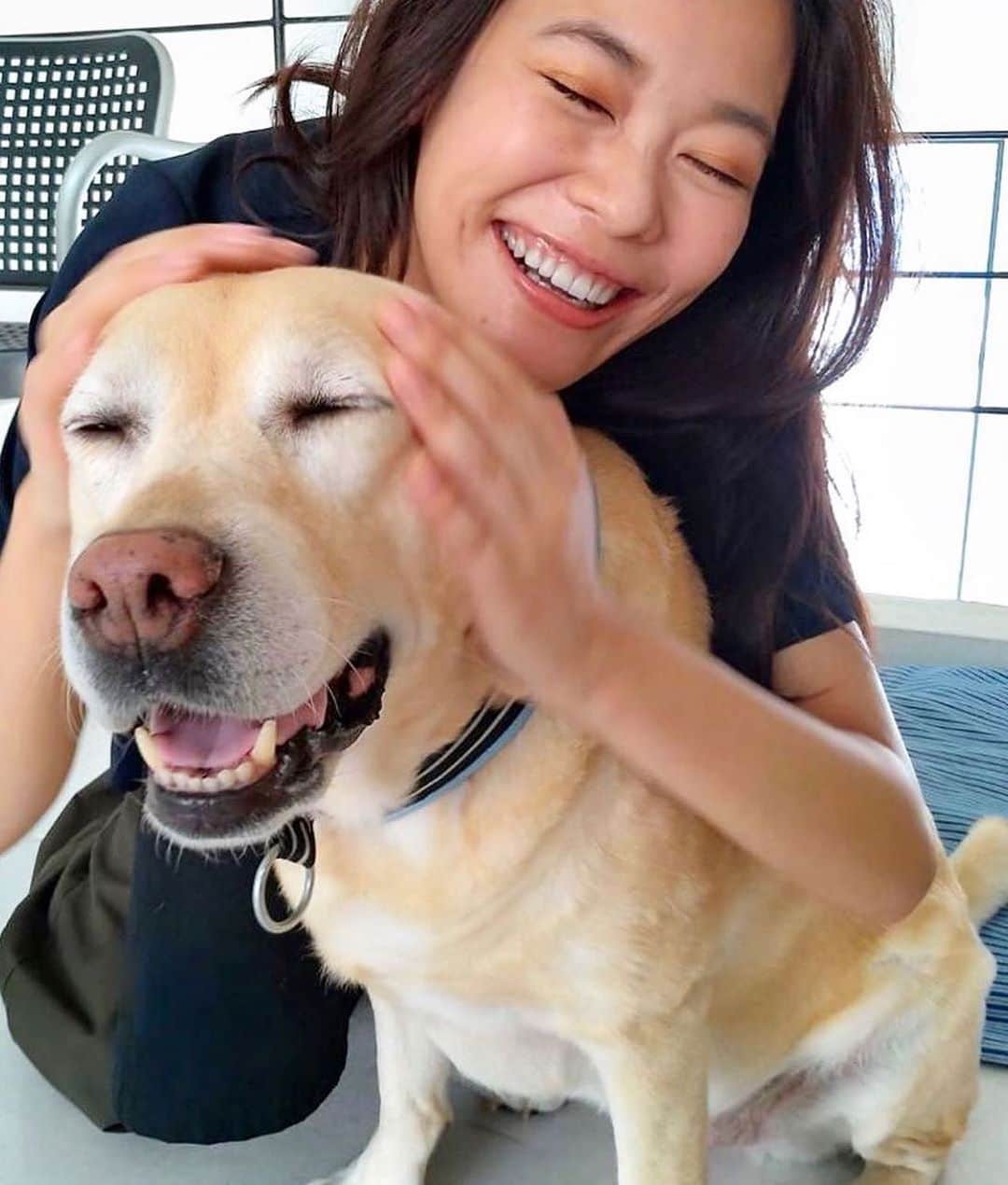 のインスタグラム：「スタジオの看板犬レイと🐕﻿ 写真を撮ったら同じ顔でした😁😁笑﻿ 意気投合🎶 また遊ぼうね〜〜！ ﻿ #dog #doglovers #goldenretriever ﻿ #ゴールデンレトリバー #オフショット #ふたりとも﻿#抜け感」