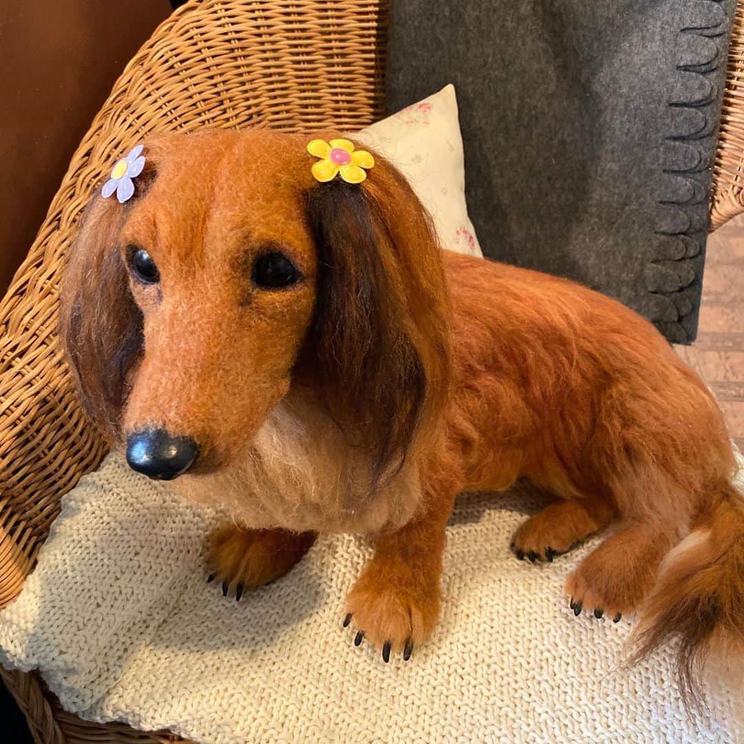 野間美由紀のグルメインスタ