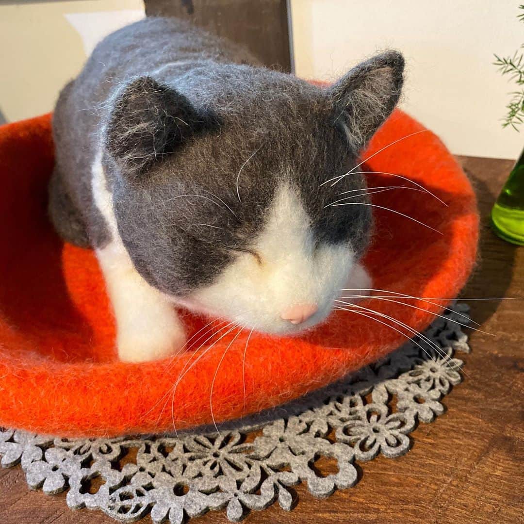 野間美由紀のグルメインスタ