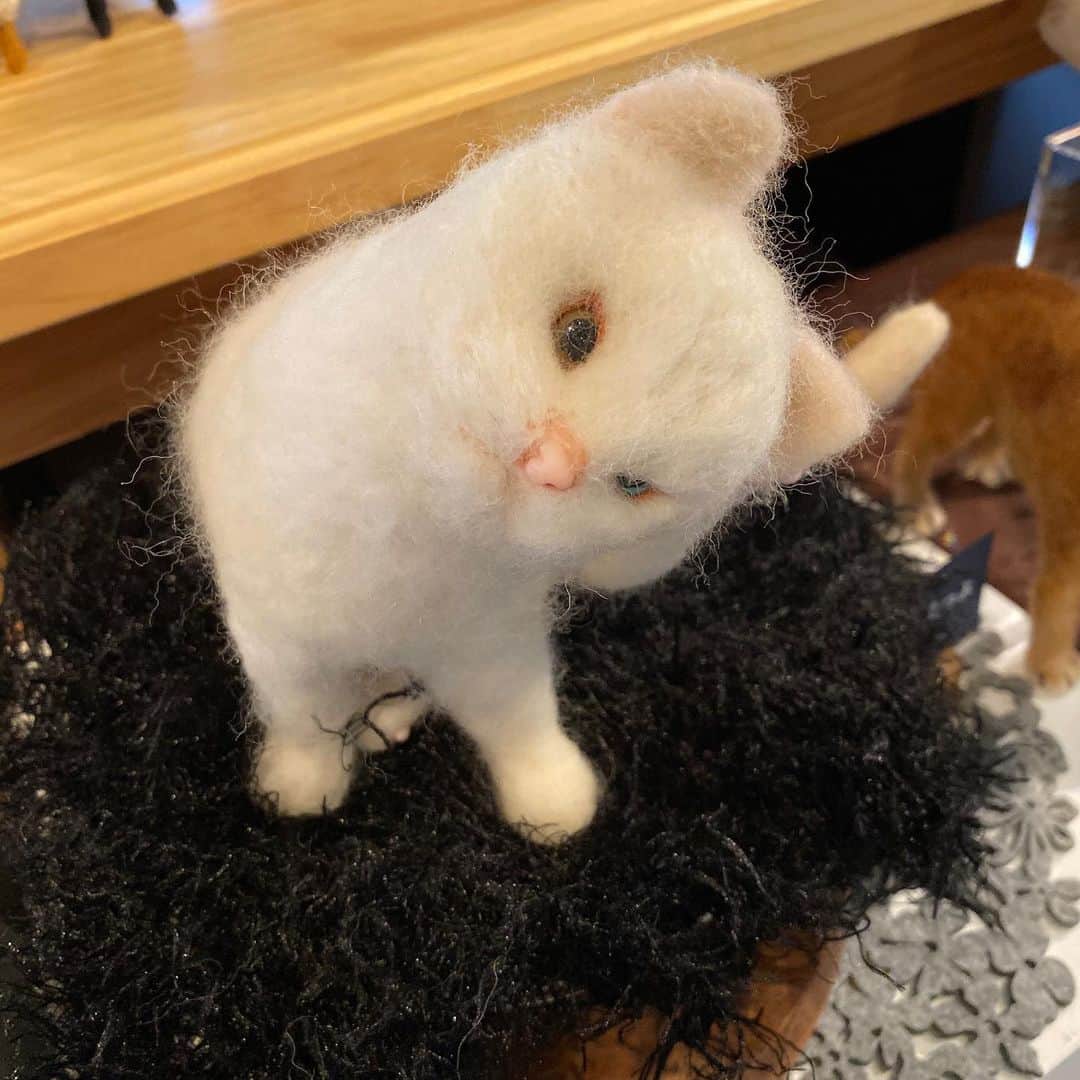 野間美由紀のグルメインスタ