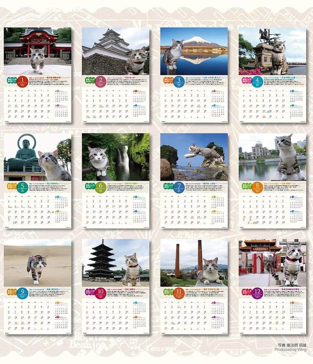Nyankichi Noranekoさんのインスタグラム写真 - (Nyankichi NoranekoInstagram)「コープ神戸の広告に旅猫ニャン吉旅日記2020年カレンダーが！😸 生協会員様は安く購入できるにゃり。 日本全国を旅してかっこよく写った写真ばかりにゃりよ😁 皆様どうかよろしくお願いいたします_(._.)_にゃり。  旅猫ニャン吉旅日記2020年カレンダー amazon https://amzn.to/2lKAUtp  楽天 https://books.rakuten.co.jp/rb/16048368/  博客來(台湾) https://www.books.com.tw/products/M010096999  旅猫ニャン吉が行く！2020カレンダー  Peppy https://www.peppynet.com/cats/shop/item/id/110B87  amazon https://amzn.to/2m6fDL6」9月23日 14時45分 - noraneko_nyankichi
