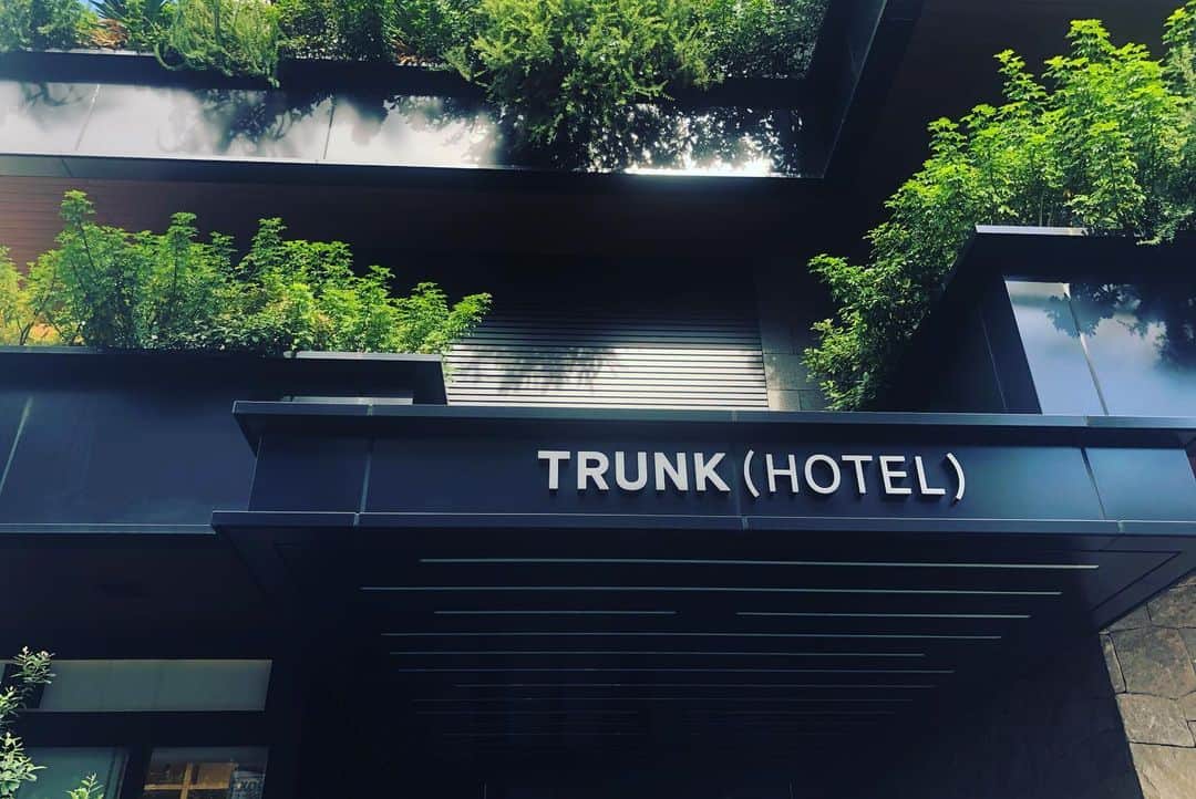 高井直子さんのインスタグラム写真 - (高井直子Instagram)「🍴 久しぶりに師匠と２人で TRUNK HOTELランチ🌈🤤 • @nantucket6bancho.class #ナンタケットバスケット」9月23日 16時26分 - naokotakai