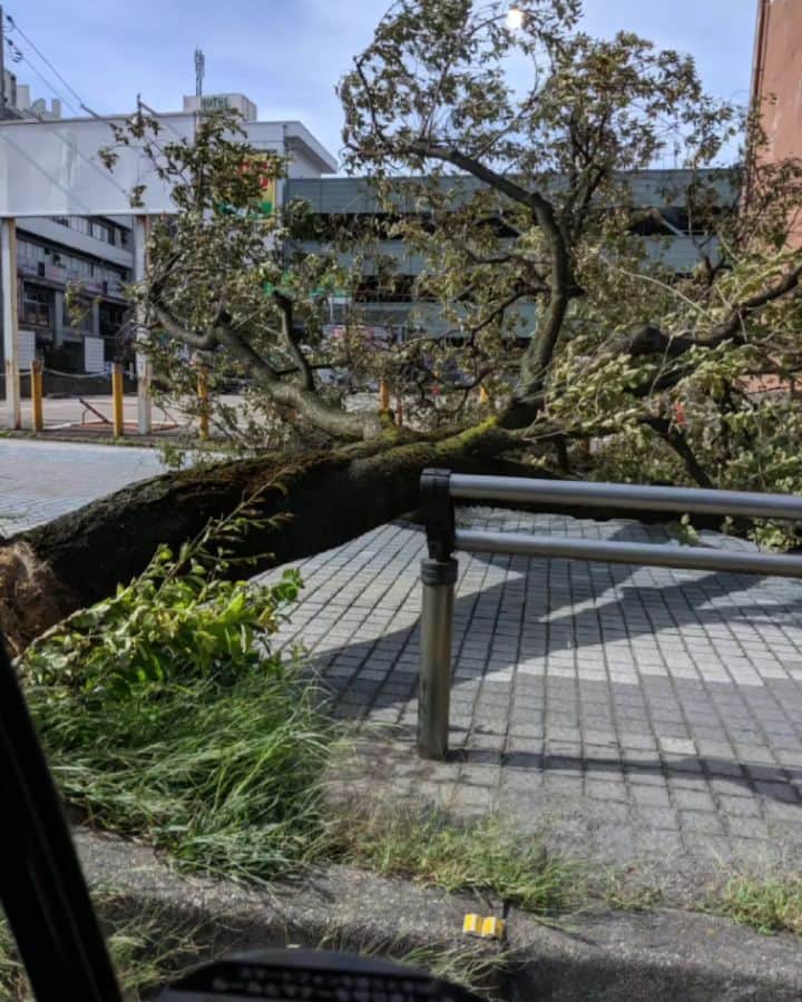 コウメ太夫のインスタグラム：「富山県に結婚式の営業にきたのだが台風の影響で風強木がおれてる！歩くのもやっとだったチクショー！#台風 #リップチェンジ #ペット逃走中」