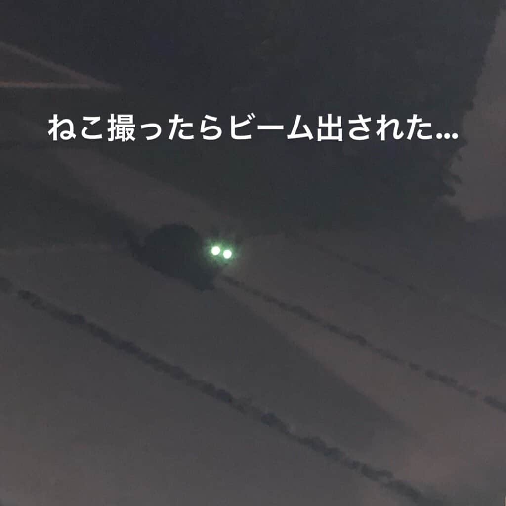高木裕介のインスタグラム