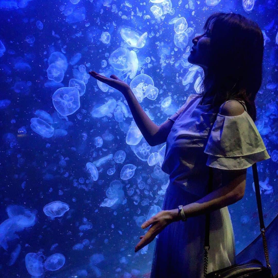 清水彩子のインスタグラム：「くらげちゃん❤️ 癒されたぁ🐳  #山形 #くらげ #水族館 #加茂水族館」